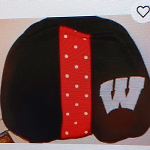 NWT Collegiate NCAA Wisconsin Badgers Cosmetic Purse Bag